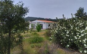 Alegria Rustica
